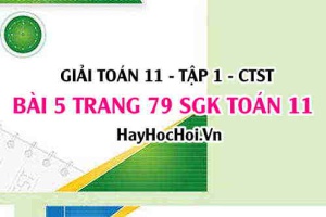 Giải bài 5 trang 79 Toán 11 tập 1 SGK Chân trời sáng tạo